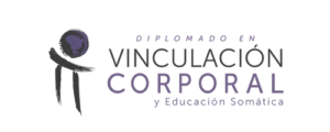 Logo- dvc